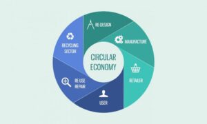 Circular Economy in Modern Business Models