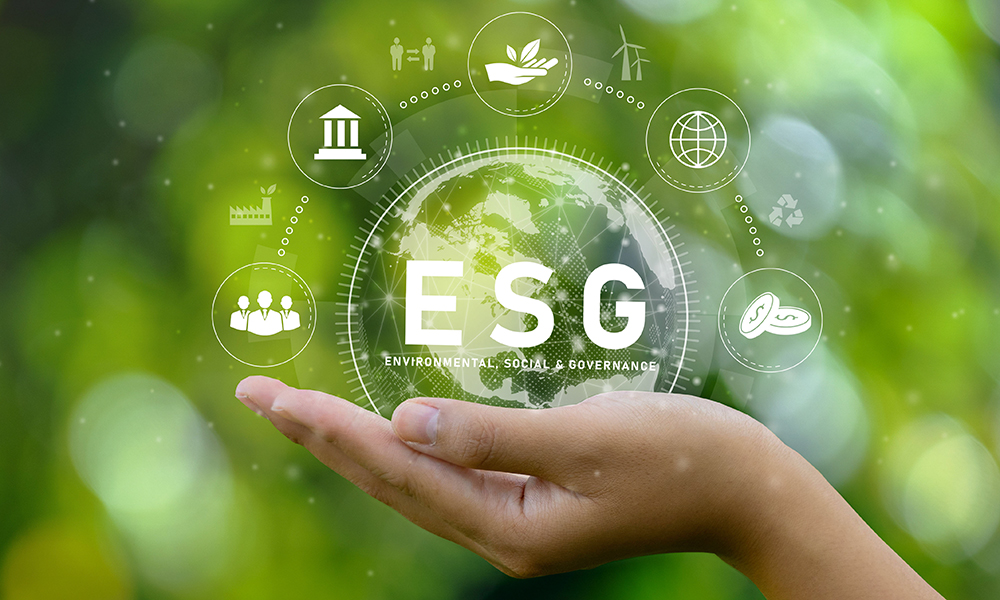 ESG (Environmental, Social, Governance) Factors in Risk Management