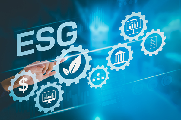 Incorporating ESG Factors in Risk Management